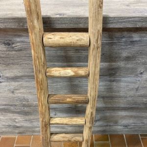 Ladder in teak