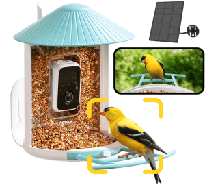 Birdfy feeder met zonnepaneel