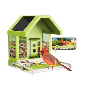 Birdfy feeder metaal groen